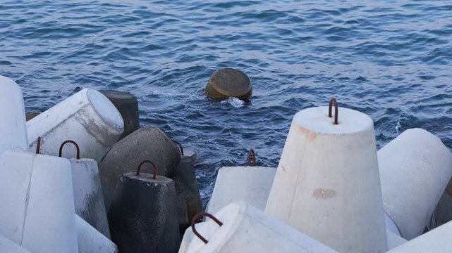 Concrete tetrapod breakwater protecting the shoreline