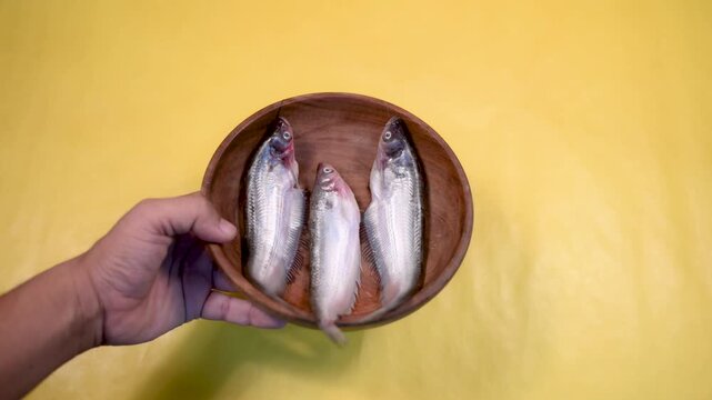 Close-up 4K video of a fresh raw Ompok bimaculatus (Pabda/Parda fish) in a wooden bowl held by an Indian man against a yellow background. Seafood, aquaculture, nutrition, and fresh market concepts.