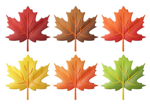 3D maple leaf icon in yellow, green and orange red, isolated on background. Autumn foliage set with cartoon clay style. Leaves for fall season designs, Thanksgiving, banners, posters
