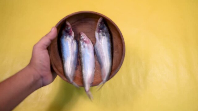 Close-up 4K video of a fresh raw Ompok bimaculatus (Pabda/Parda fish) in a wooden bowl held by an Indian man against a yellow background. Seafood, aquaculture, nutrition, and fresh market concepts.