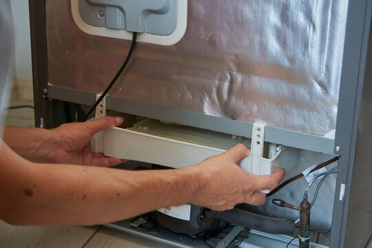 repair of household appliances and calling a master at home, The process of maintenance and cleaning the drainage system of the refrigerator