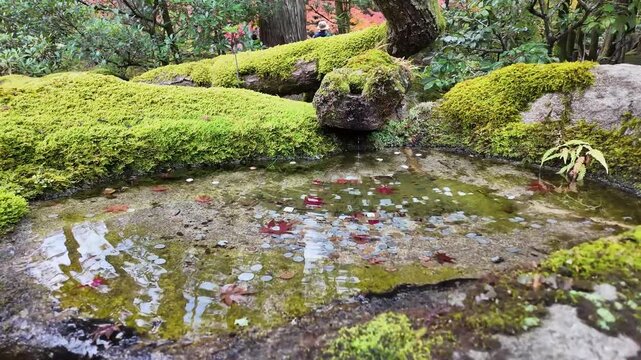 Tenjuan Subtemple Garden Within Nanzenji Complex Kyoto Jan 26 2025