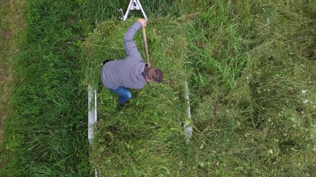 A man is unloading from trailer grass cut for fodder. 