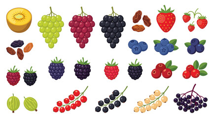 Set of colorful berries and fruits, vegetables. Different vector fruits and vegetables icon set. Vector illustration © Coffee and TV