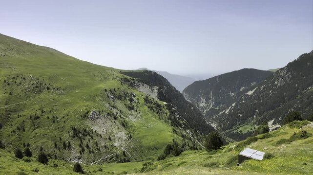 Stunning mountain valley landscape with green meadows and pine forests during a bright summer day in the catalan Pyrenees, Spain. Beautiful aerial view revealing the vastness of the scenery