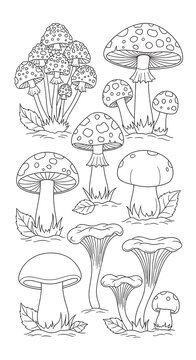 Hand Drawn Wild Mushrooms Arranged on White Background