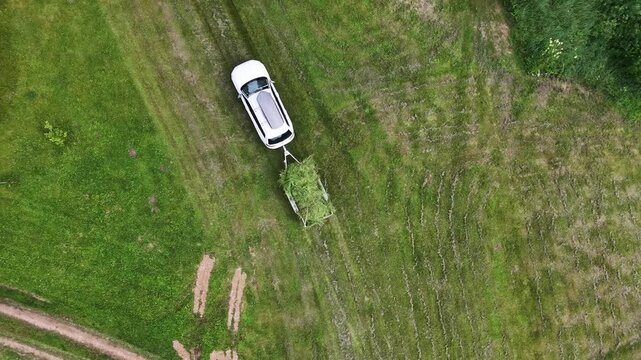 A white wagon with a light luggage trailer is transporting grass over a meadow