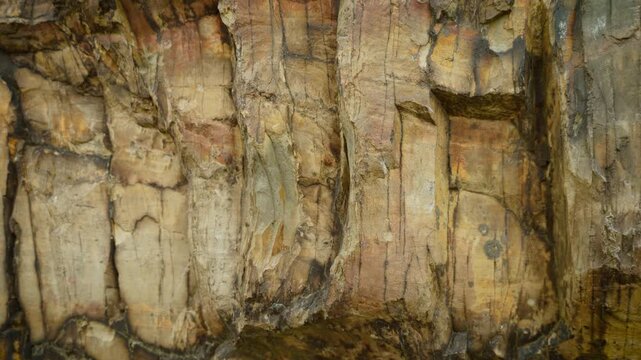 Rock wall with layered sandstone textures and mineral patterns. Vertical cliff surface with eroded stone cracks natural formations and rugged geology. Detailed rock background for geology nature