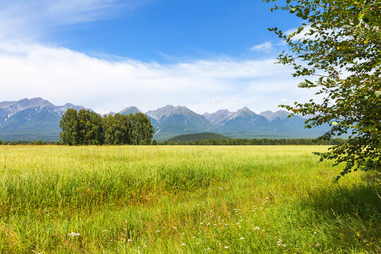 Scenic rural landscape with green field in foothill valley against backdrop of Eastern Sayan Mountains on August day. Natural background. Siberia, Baikal region, Buryatia, Tunka Valley, Arshan
