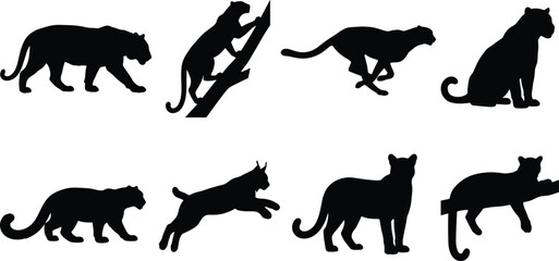 Fototapeta premium Big cat behavior silhouette icon set featuring walking, climbing, running, and resting poses