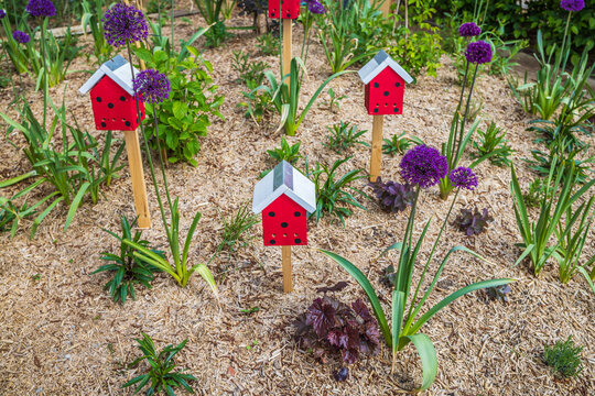 Charming garden scene with decorative red insect hotels and purple allium flowers
