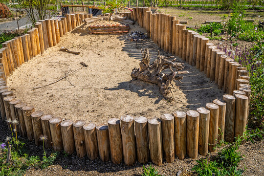 Sandarium - an artificial sand bed designed as a nesting habitat for ground-nesting insects