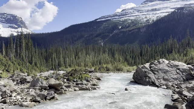 Beautiful nature in the Banff National Park. British Columbia, Canada. Flowing river cascades over rocks in mountainous landscape with lush greenery and snow-capped peaks under blue sky