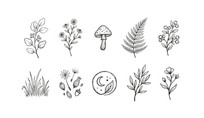 Fototapeta premium set of flowers and plants