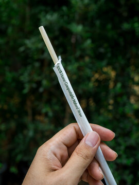 Hand holding a 100 percent home compostable natural straw in eco friendly packaging. Sustainable and responsibility lifestyle, plastic free alternatives, biodegradable products, zero waste living.