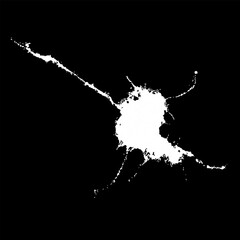 Obraz premium Grunge birds droppings black and white. Flat blots style vector illustration. Map. Abstract paint drop.