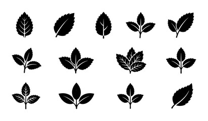 Fototapeta premium Botanical Leaf Icons Set, Nature Elements Collection, Organic Plant Silhouettes, Vector Graphics for Design