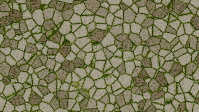 Natural stone pavers covering a ground surface, filled with green moss growing in the deep cracks between the uneven grey and brown rocks in a garden