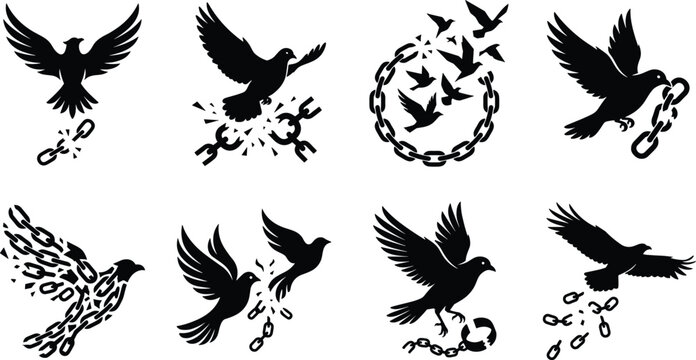 Bird Silhouette Vector Collection Depicting Freedom, Liberation, and Chains Breaking in Dynamic Designs