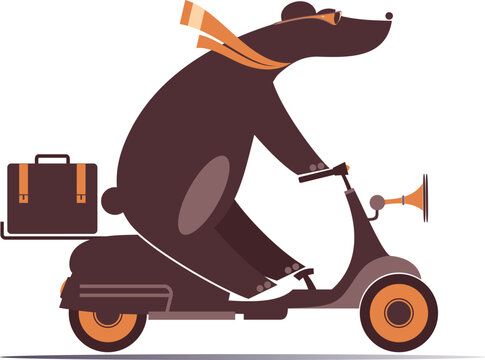Bear rides on the motor scooter