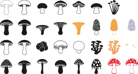 Mushroom Icon Set with Black Silhouette Line and Colorful Fungi Illustrations © MdMojammel