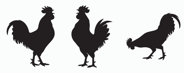 Collection of rooster silhouettes in standing and walking poses, isolated on a light background, ideal for farm, poultry, agriculture, rural lifestyle, and animal design concepts. © MD Rokib Adobe