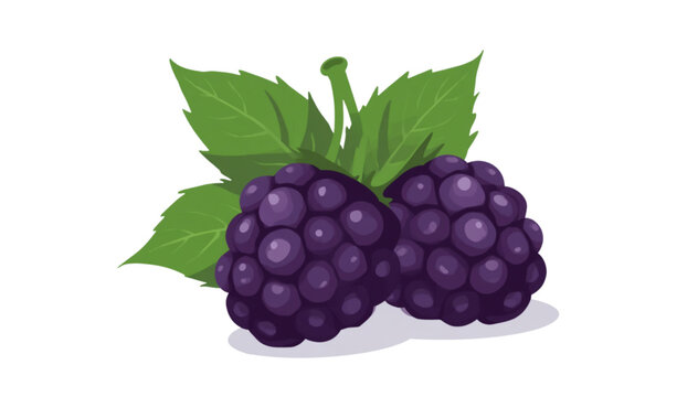 blackberries