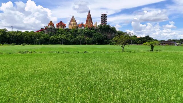 Wat Tham Suea, the Tiger Cave Temple, sitting on a hill surrounded by lush green rice fields