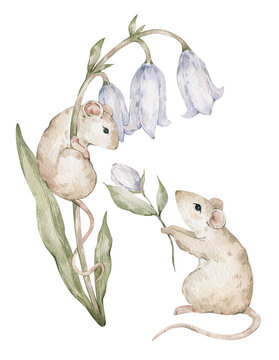Cute watercolor mouses with bluebell flower. Biege field mouse
