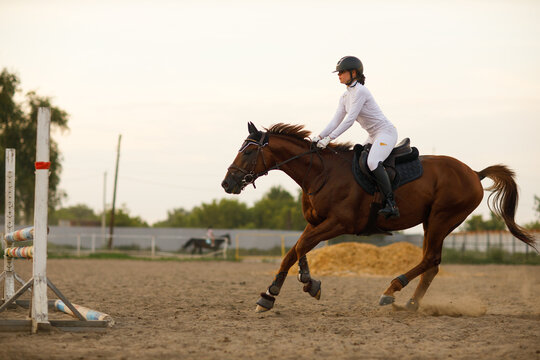 Side view of dressage horse in harness with female rider jockey in white uniform during jumping competition.