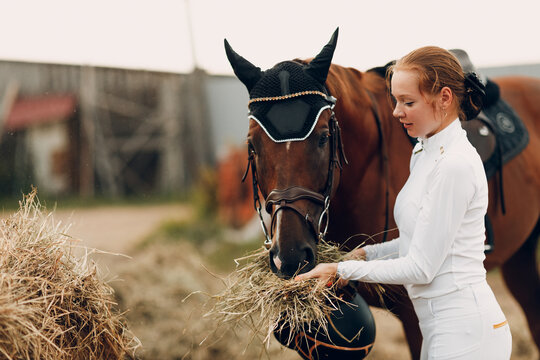 Woman rider in a white uniform feeds horse at stable.