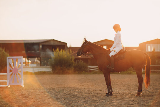 Woman rider jockey in helmet and white uniform sitting on horse at sunset. Profile view.