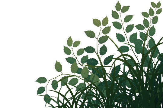 Graphic assets featuring leaves and grass for backgrounds, suitable for transparent backgrounds, postcards, cards, and compositing.