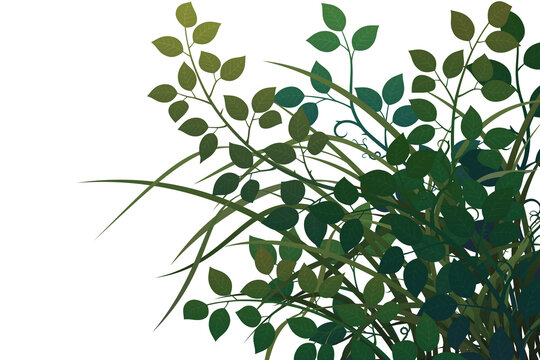 Graphic assets featuring leaves and grass for backgrounds, suitable for transparent backgrounds, postcards, cards, and compositing.