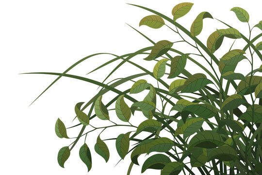 Graphic assets featuring leaves and grass for backgrounds, suitable for transparent backgrounds, postcards, cards, and compositing.
