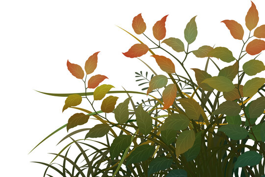 Graphic assets featuring leaves and grass for backgrounds, suitable for transparent backgrounds, postcards, cards, and compositing.