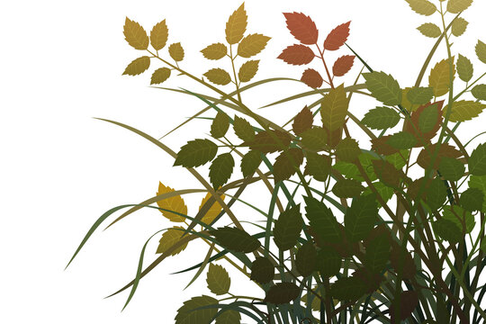Graphic assets featuring leaves and grass for backgrounds, suitable for transparent backgrounds, postcards, cards, and compositing.
