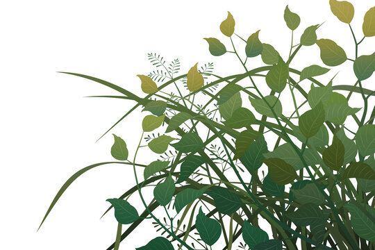 Graphic assets featuring leaves and grass for backgrounds, suitable for transparent backgrounds, postcards, cards, and compositing.