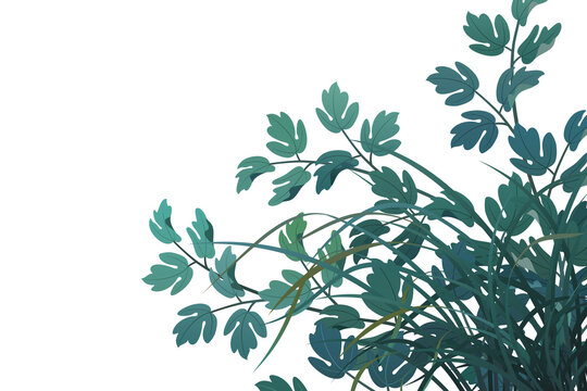 Graphic assets featuring leaves and grass for backgrounds, suitable for transparent backgrounds, postcards, cards, and compositing.