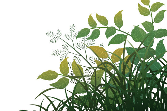 Graphic assets featuring leaves and grass for backgrounds, suitable for transparent backgrounds, postcards, cards, and compositing.