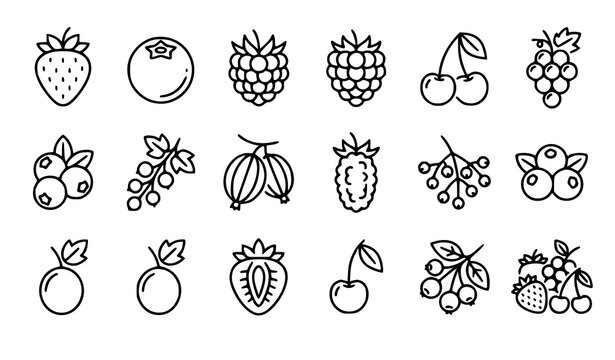 Minimal Berry and Fruit Line Icons Set Editable Outline Vector Collection