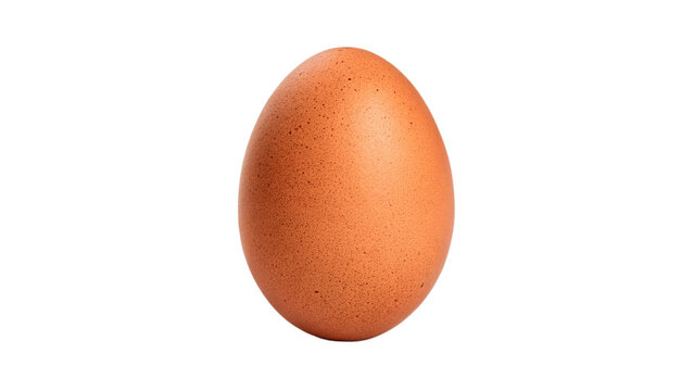 Single fresh organic brown chicken egg nutrition isolated on transparent background cut out