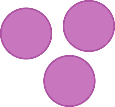 C. Elegans Oocytes Cluster