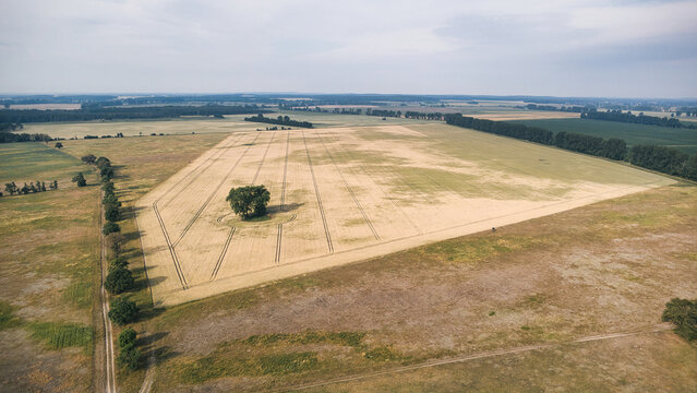Aerial view of a vast field with a solitary tree in rural landscape