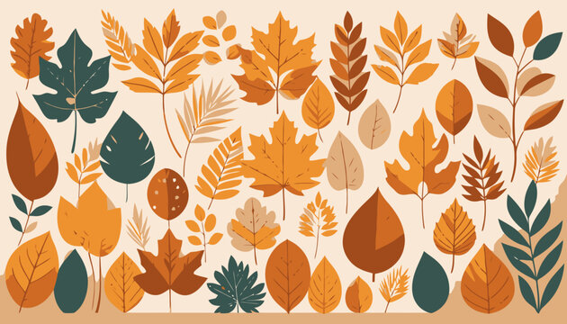 Collection of various autumn leaves.