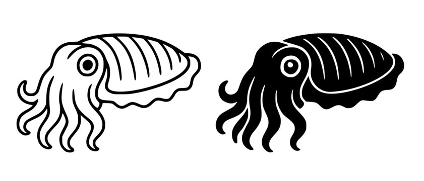 Minimalist cuttlefish icon in outline and silhouette design