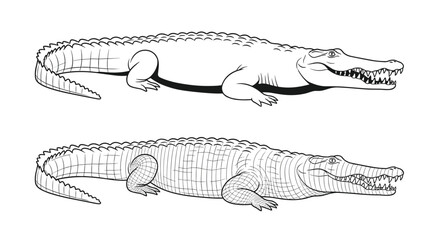 Obraz premium Two side view illustrations of crocodiles showing different drawing styles from simple outline to detailed textured rendering.