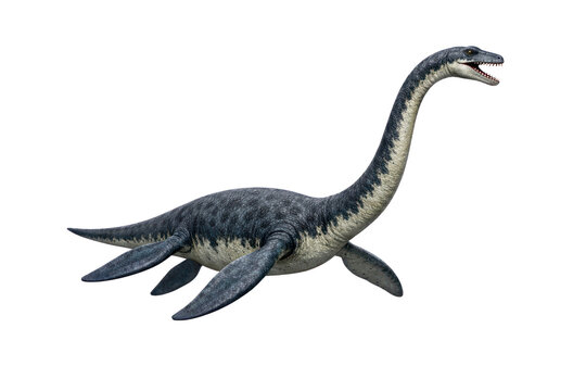 Realistic plesiosaur dinosaur illustration, marine reptile prehistoric creature, blue-gray aquatic predator concept art isolated PNG with Transparent Background