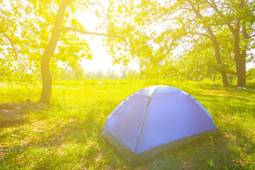 orange touristic tent stay on forest glade in light of sun, summer outdoor camping scene © Yuriy Kulik