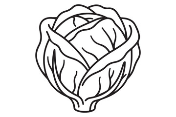 Obraz premium Simple outline graphic illustration of a head of cabbage with vegetable illustration ingredient vegetarian nutrition brassica